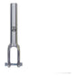Apex Quantum Fork Lite